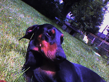 CIMG0036